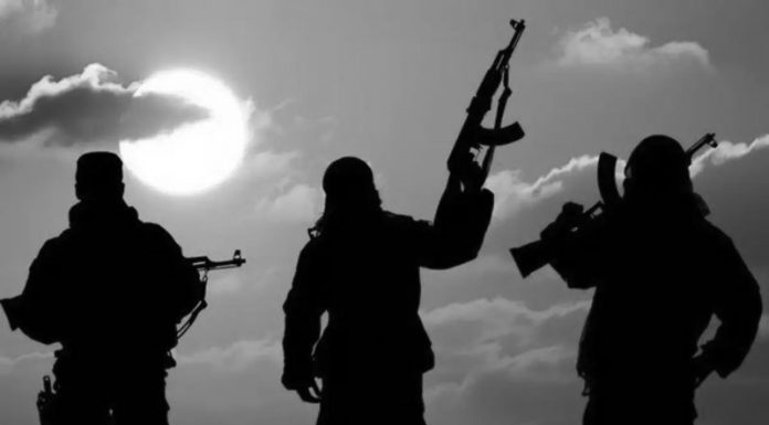 O Terror e o Terrorismo